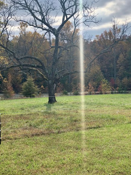 Image for 3 BR/2 BA Brick Home w/Large Barn, Riding Ring & Pond on 21.8 +/- Fenced Acres in Louisa County, VA