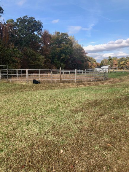 Image for 3 BR/2 BA Brick Home w/Large Barn, Riding Ring & Pond on 21.8 +/- Fenced Acres in Louisa County, VA