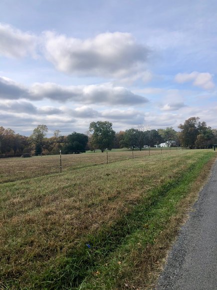 Image for 3 BR/2 BA Brick Home w/Large Barn, Riding Ring & Pond on 21.8 +/- Fenced Acres in Louisa County, VA