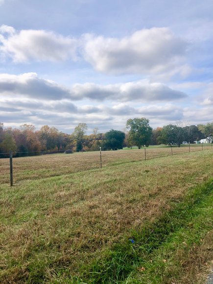 Image for 3 BR/2 BA Brick Home w/Large Barn, Riding Ring & Pond on 21.8 +/- Fenced Acres in Louisa County, VA