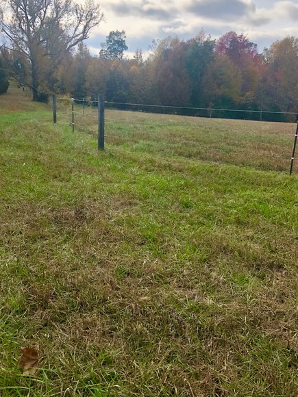 Image for 3 BR/2 BA Brick Home w/Large Barn, Riding Ring & Pond on 21.8 +/- Fenced Acres in Louisa County, VA