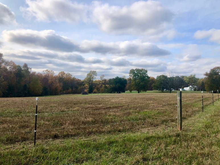 Image for 3 BR/2 BA Brick Home w/Large Barn, Riding Ring & Pond on 21.8 +/- Fenced Acres in Louisa County, VA