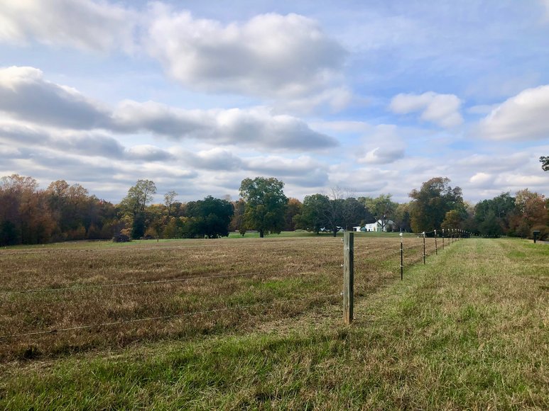 Image for 3 BR/2 BA Brick Home w/Large Barn, Riding Ring & Pond on 21.8 +/- Fenced Acres in Louisa County, VA