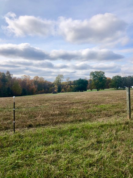 Image for 3 BR/2 BA Brick Home w/Large Barn, Riding Ring & Pond on 21.8 +/- Fenced Acres in Louisa County, VA