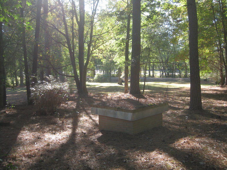 Image for 3 BR/1 BA Brick Home on 4.5 +/- Acres in Brunswick County, VA