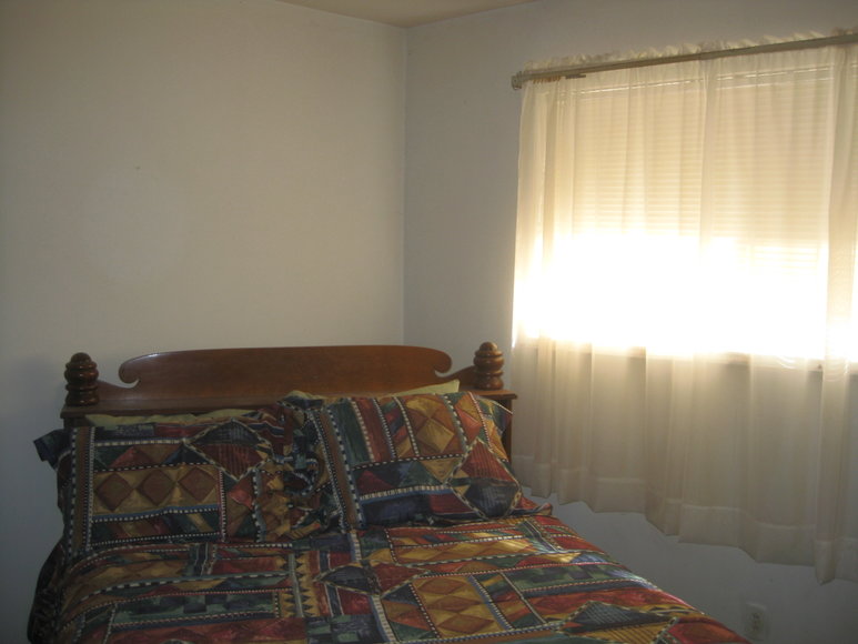 Image for 3 BR/1 BA Brick Home on 4.5 +/- Acres in Brunswick County, VA