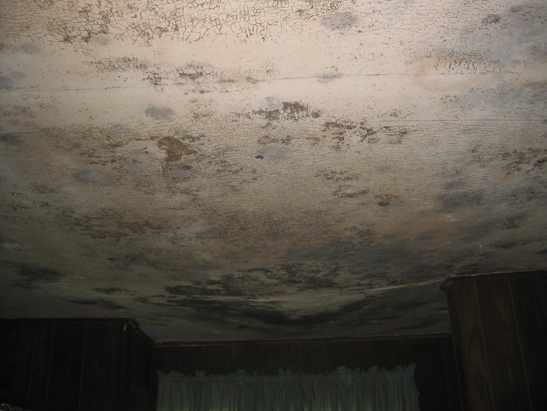 Image for 3 BR/1 BA Brick Home on 4.5 +/- Acres in Brunswick County, VA