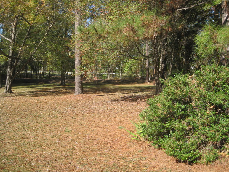 Image for 3 BR/1 BA Brick Home on 4.5 +/- Acres in Brunswick County, VA