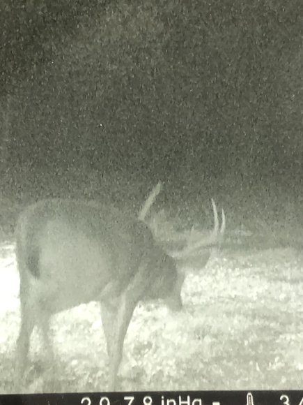 Image for 100 +/- Acres of Spotsylvania County Land--SELLS to the HIGHEST BIDDER via ONLINE ONLY BIDDING!!