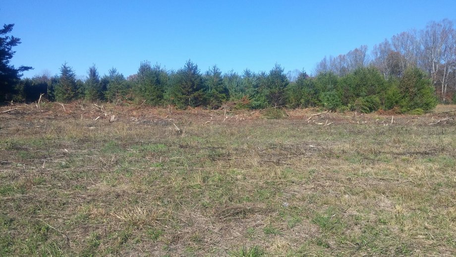 Image for 21.32± Acres on Holly Springs Road, Mount Airy, NC