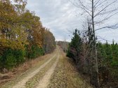 900+/- Acre Dover TN Land Auction