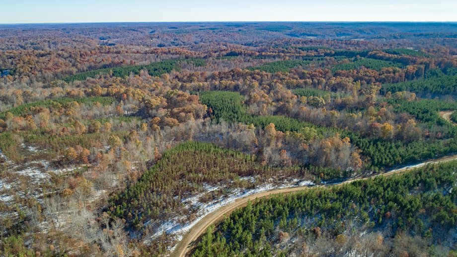 Image for 900+/- Acre Dover TN Land Auction