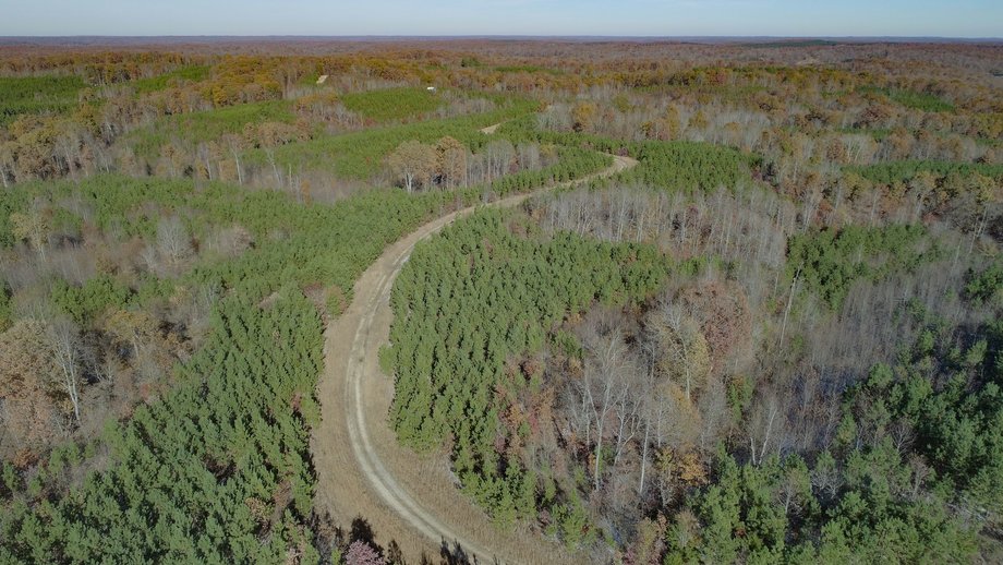 Image for 900+/- Acre Dover TN Land Auction