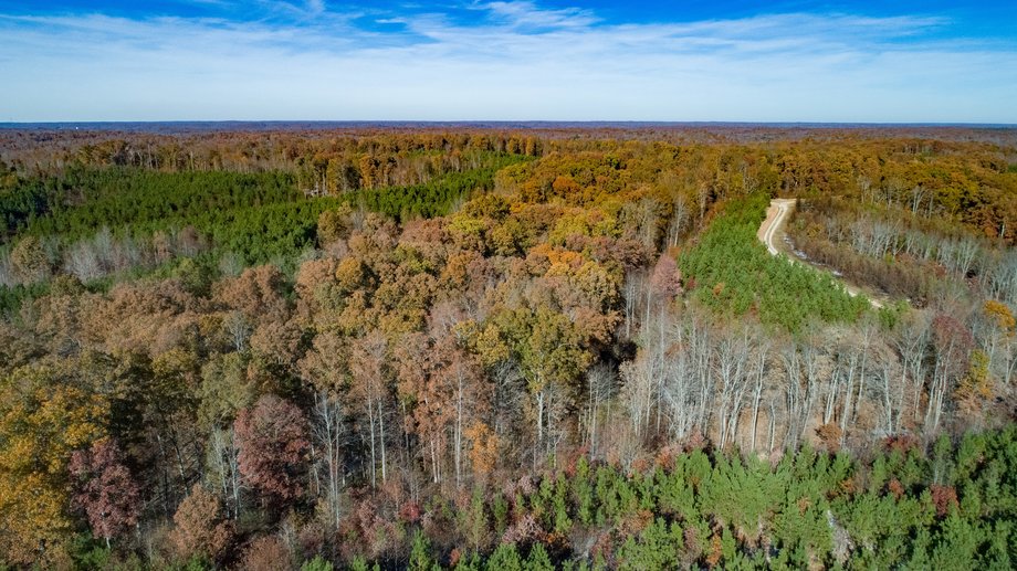 Image for 900+/- Acre Dover TN Land Auction