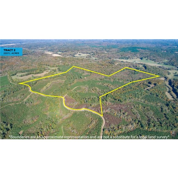 Image for 900+/- Acre Dover TN Land Auction
