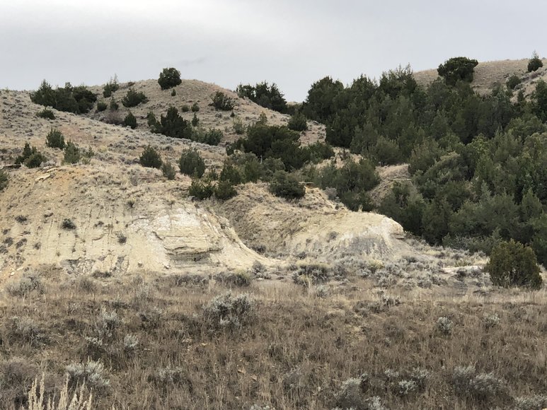 Image for YELLOWSTONE MEADOW RANCH - ROSEBUD, MONTANA