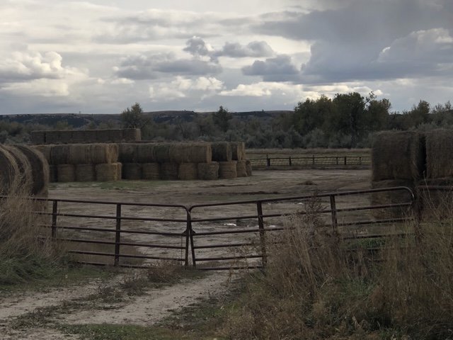 Image for YELLOWSTONE MEADOW RANCH - ROSEBUD, MONTANA