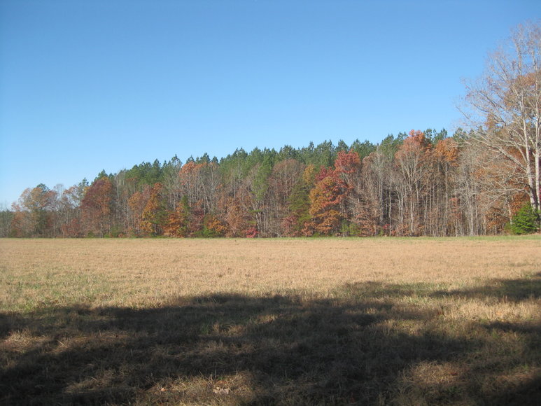 Image for 3 BR/2 BA Manufactured Home on 12 +/- Acres in Lunenburg County, VA--ONLINE ONLY BIDDING!!