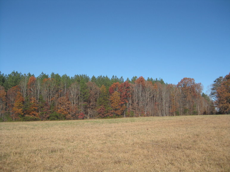 Image for 3 BR/2 BA Manufactured Home on 12 +/- Acres in Lunenburg County, VA--ONLINE ONLY BIDDING!!