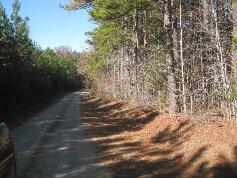 Image for 30 +/- Acre Timber Tract in Lunenburg County, VA--ONLINE ONLY BIDDING!!