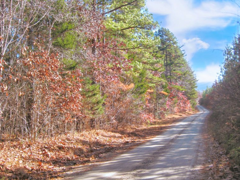 Image for 30 +/- Acre Timber Tract in Lunenburg County, VA--ONLINE ONLY BIDDING!!