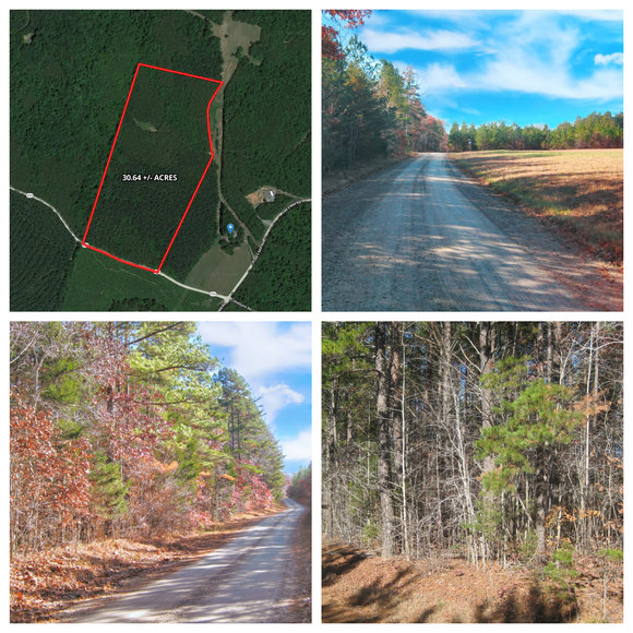 Image for 30 +/- Acre Timber Tract in Lunenburg County, VA--ONLINE ONLY BIDDING!!