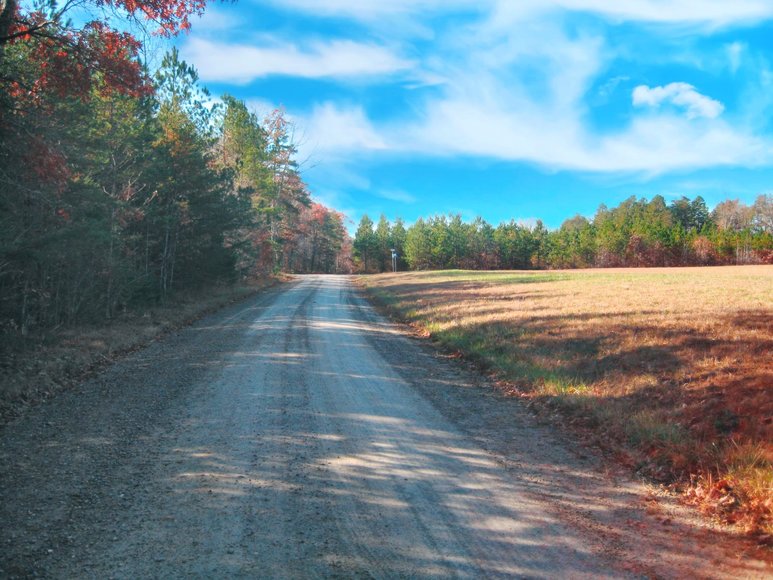 Image for 30 +/- Acre Timber Tract in Lunenburg County, VA--ONLINE ONLY BIDDING!!