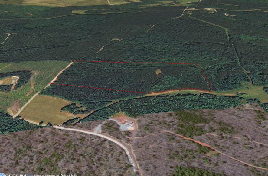 Image for 30 +/- Acre Timber Tract in Lunenburg County, VA--ONLINE ONLY BIDDING!!