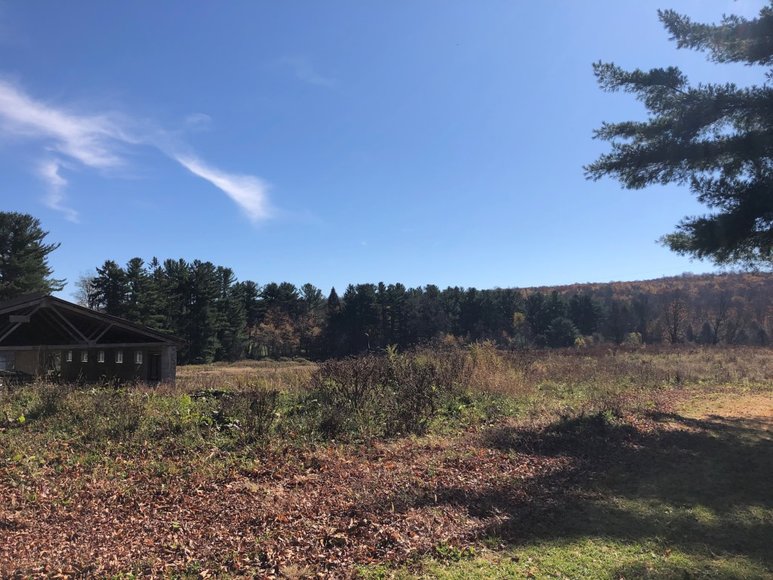 Image for Sealed Bid Land Auction - Canton, PA - Lycoming County | January 15, 2020