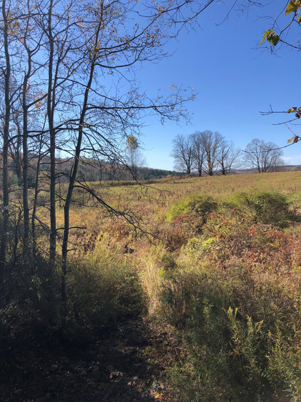Image for Sealed Bid Land Auction - Canton, PA - Lycoming County | January 15, 2020