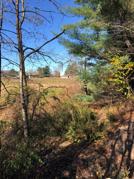 Image for Sealed Bid Land Auction - Canton, PA - Lycoming County | January 15, 2020