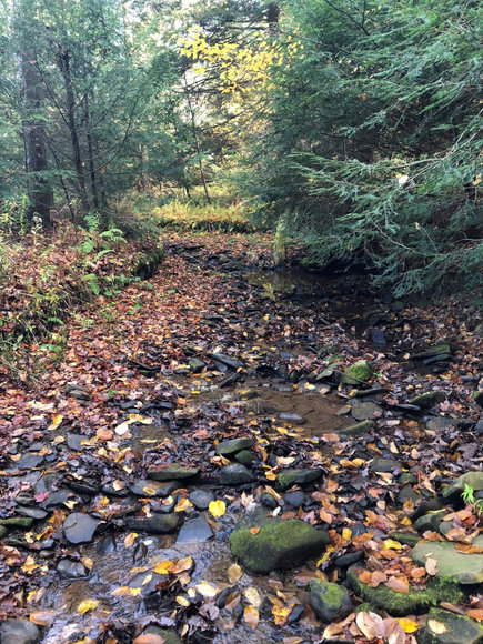 Image for Sealed Bid Land Auction - Canton, PA - Lycoming County | January 15, 2020