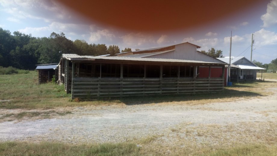 Chesnee, SC Livestock Market Online Only