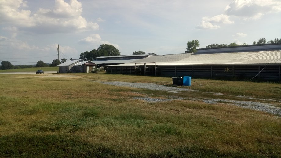 Image for Chesnee, SC Livestock Market - Online Only