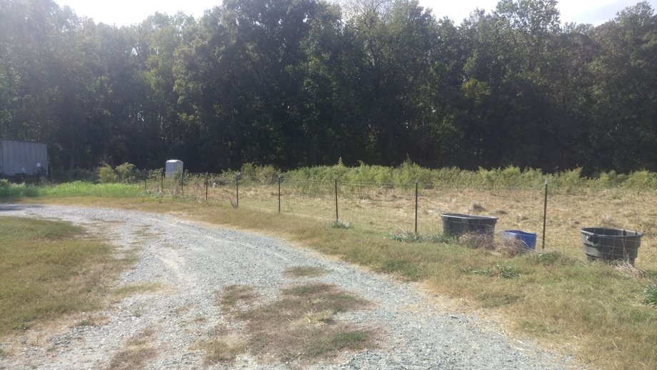 Image for Chesnee, SC Livestock Market - Online Only