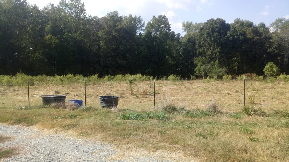 Image for Chesnee, SC Livestock Market - Online Only