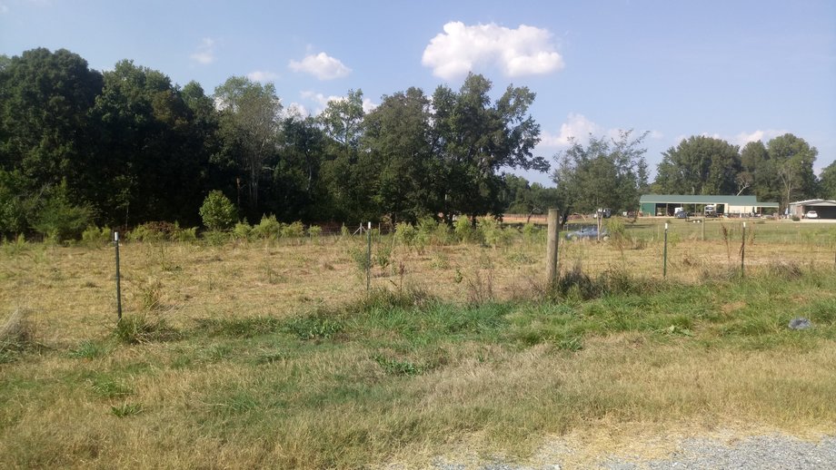 Image for Chesnee, SC Livestock Market - Online Only