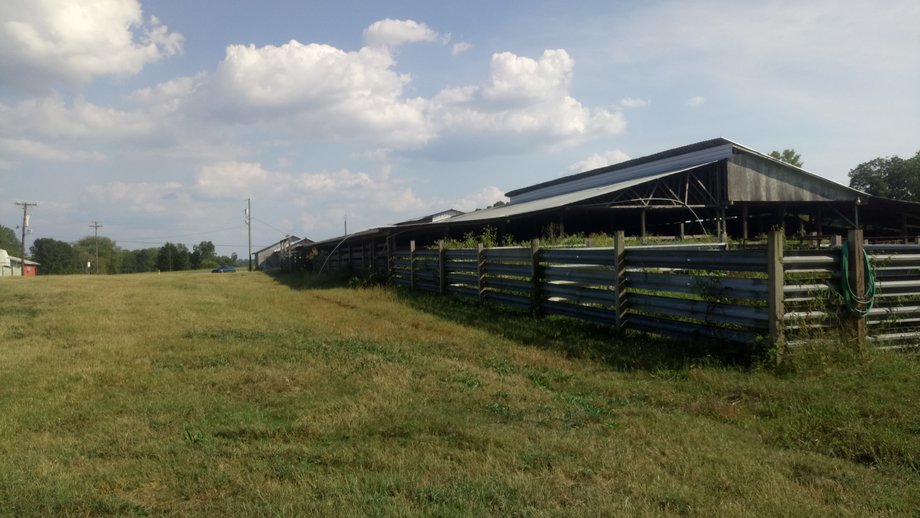 Image for Chesnee, SC Livestock Market - Online Only