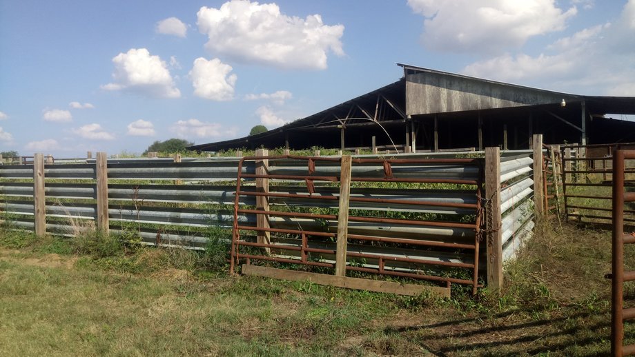 Image for Chesnee, SC Livestock Market - Online Only