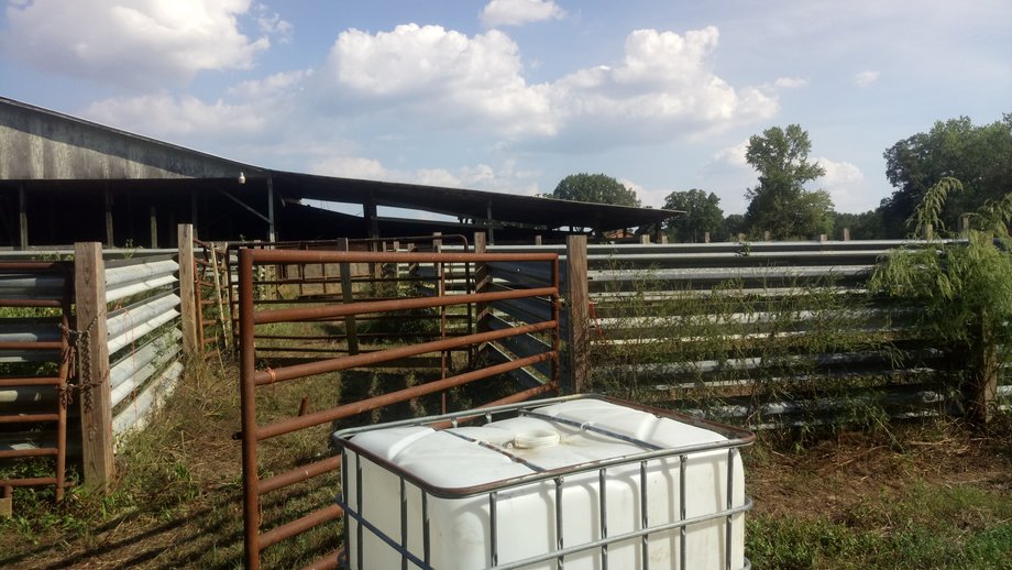 Image for Chesnee, SC Livestock Market - Online Only