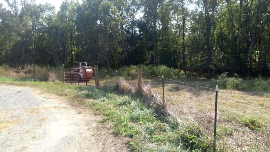 Image for Chesnee, SC Livestock Market - Online Only