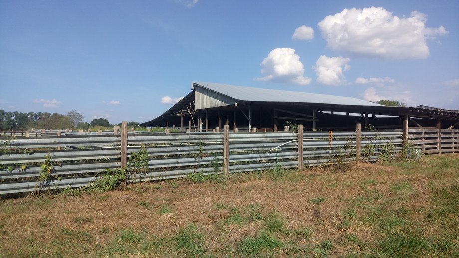 Image for Chesnee, SC Livestock Market - Online Only