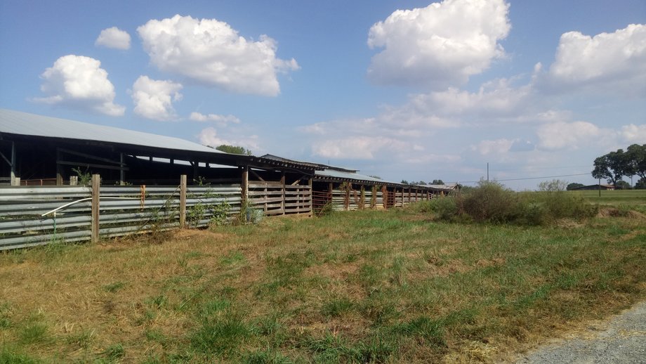 Image for Chesnee, SC Livestock Market - Online Only
