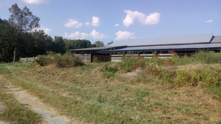 Image for Chesnee, SC Livestock Market - Online Only