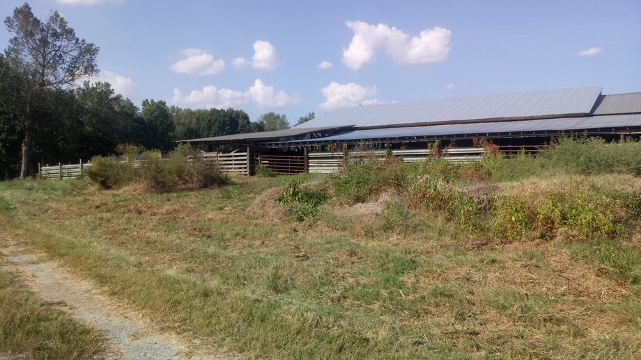 Image for Chesnee, SC Livestock Market - Online Only