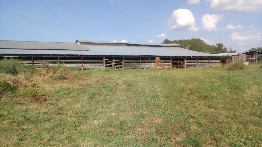 Image for Chesnee, SC Livestock Market - Online Only