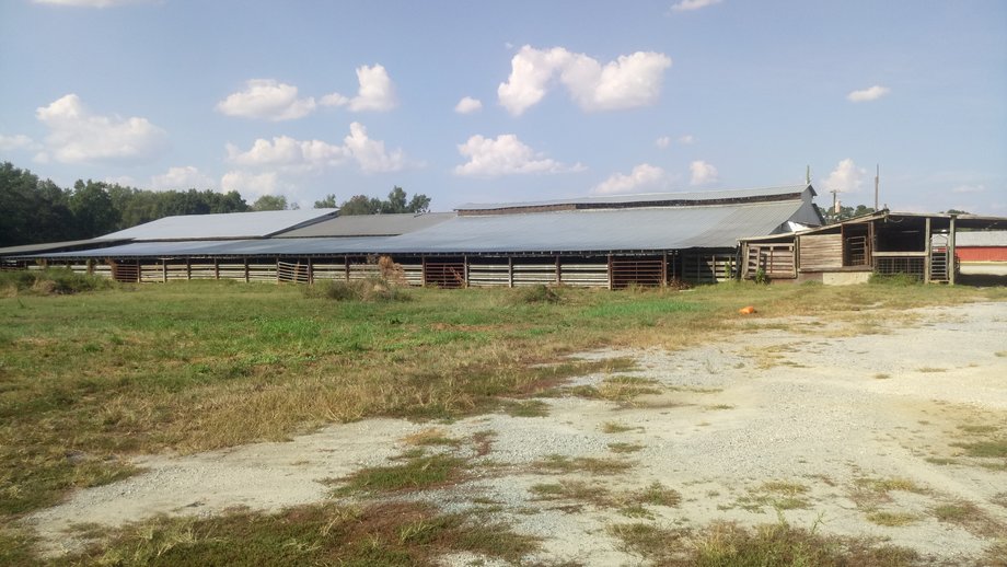 Image for Chesnee, SC Livestock Market - Online Only