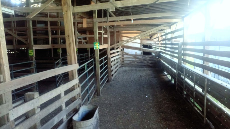 Image for Chesnee, SC Livestock Market - Online Only