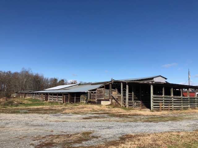 Image for Chesnee, SC Livestock Market - Online Only