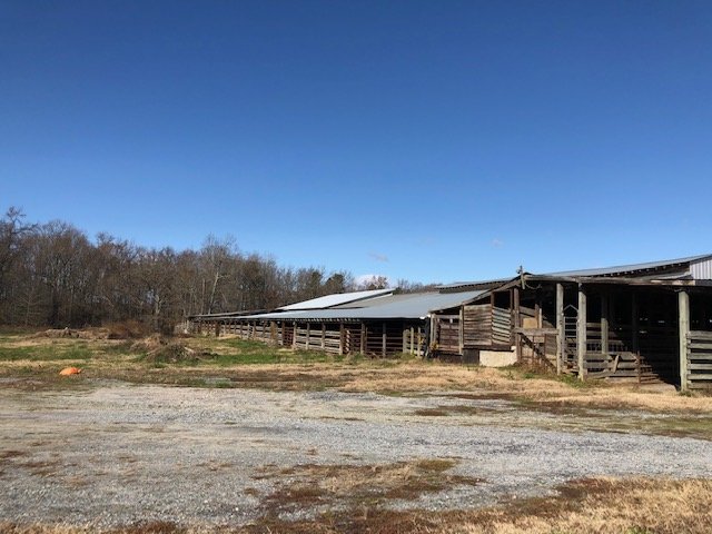 Image for Chesnee, SC Livestock Market - Online Only